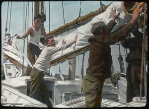 Image of Crew Furling the Mainsail, Iceland Trip